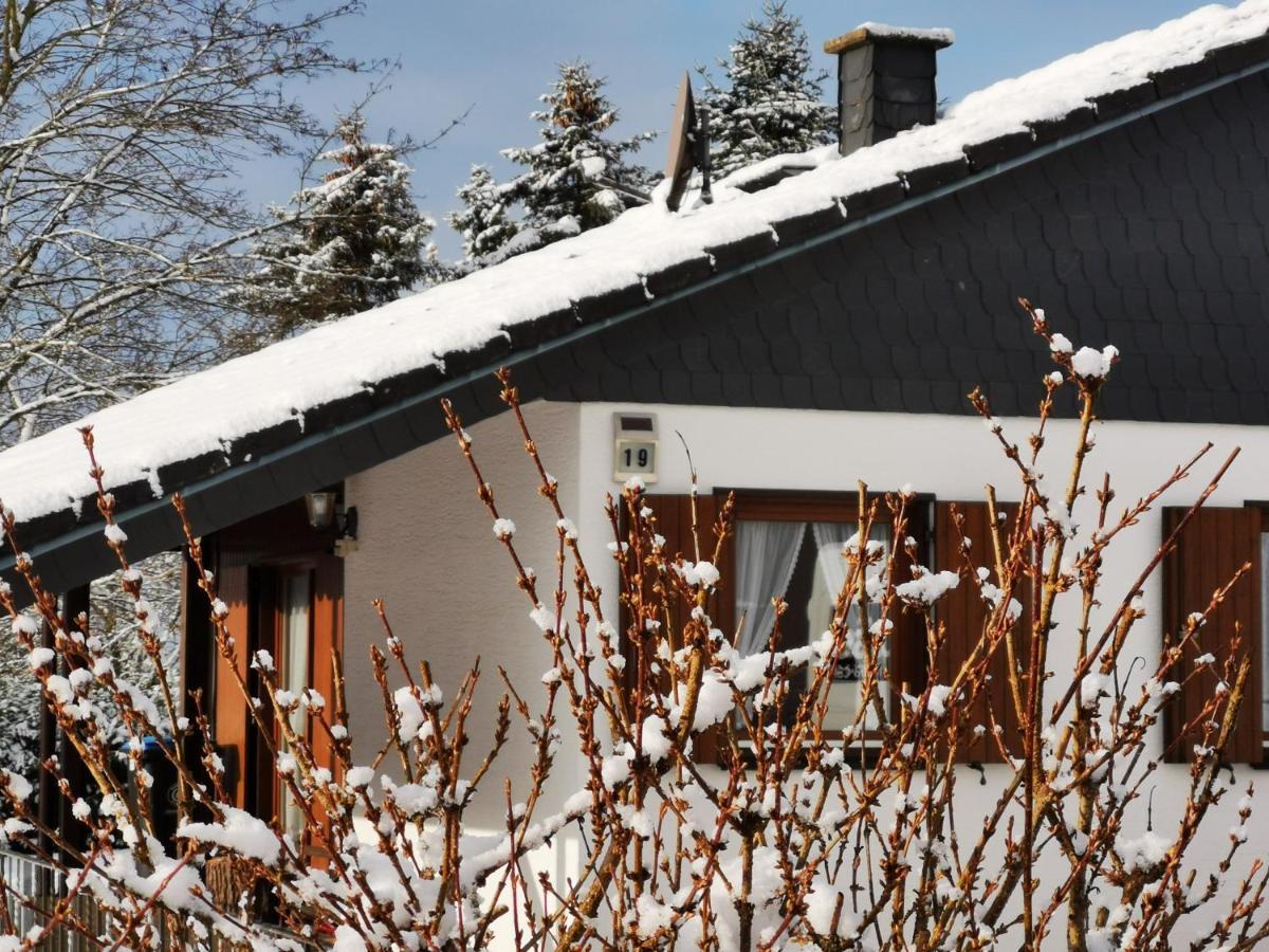 Bb19 Eifel-Ferienhaus Am Moseltal Mit Saunahaus Beuren  Zewnętrze zdjęcie