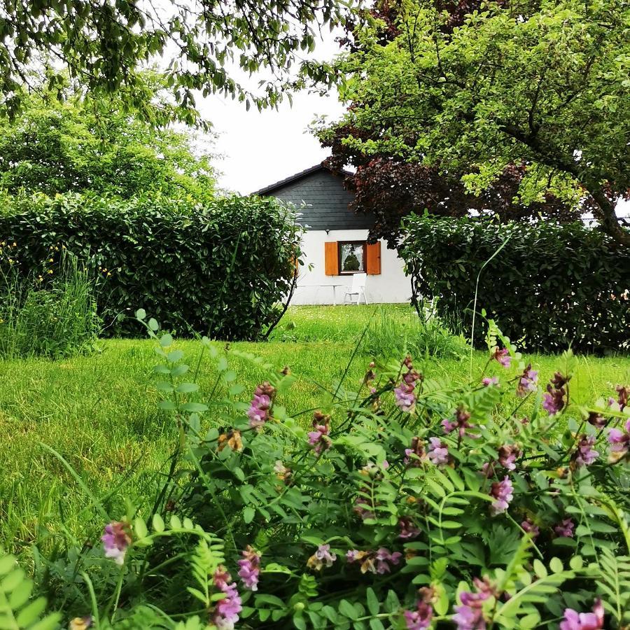 Bb19 Eifel-Ferienhaus Am Moseltal Mit Saunahaus Beuren  Zewnętrze zdjęcie