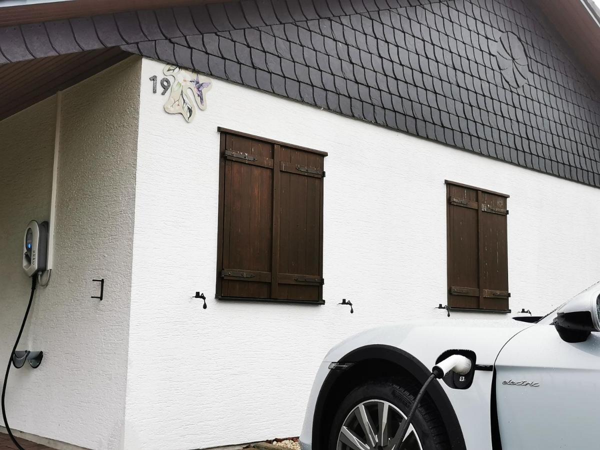 Bb19 Eifel-Ferienhaus Am Moseltal Mit Saunahaus Beuren  Zewnętrze zdjęcie